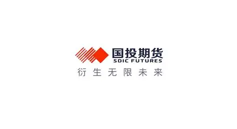 国投