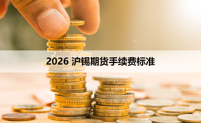 2026 沪锡期货手续费标准