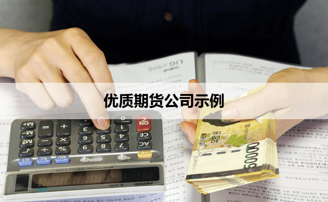 优质期货公司示例