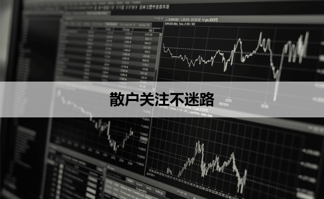 散户关注不迷路