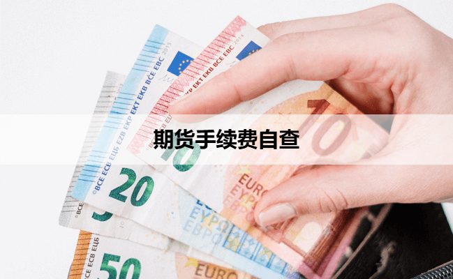 期货手续费自查