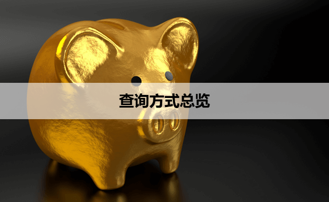查询方式总览