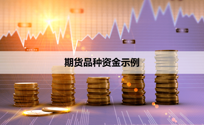期货品种资金示例