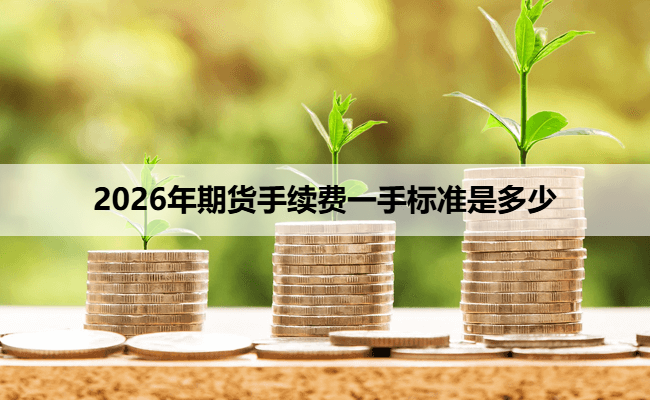 2026年期货手续费一手标准是多少